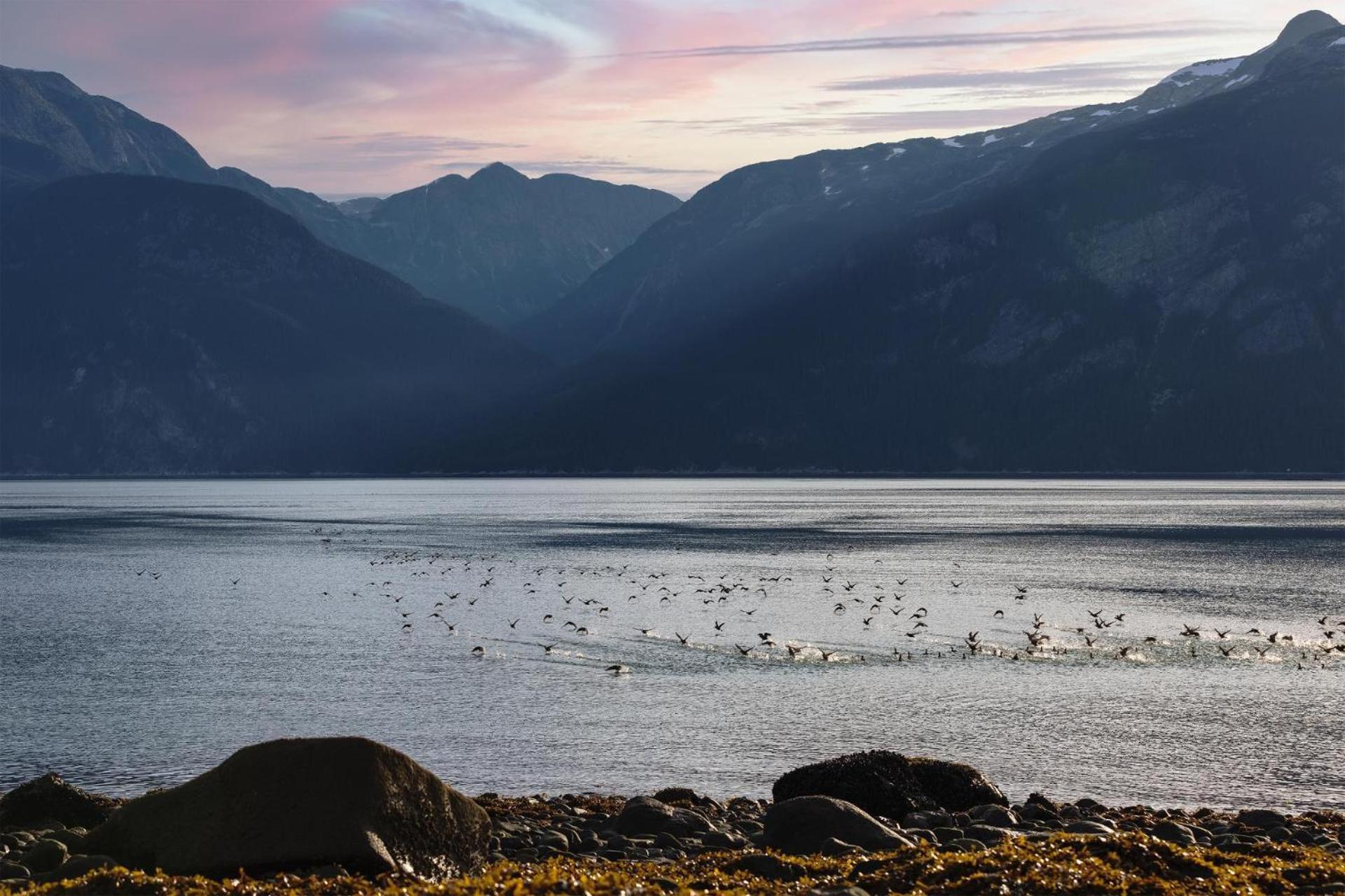 Cabin 3 Lynn View Lodge Haines Εξωτερικό φωτογραφία