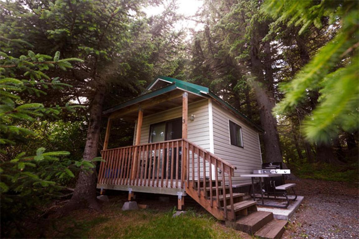 Cabin 3 Lynn View Lodge Haines Εξωτερικό φωτογραφία
